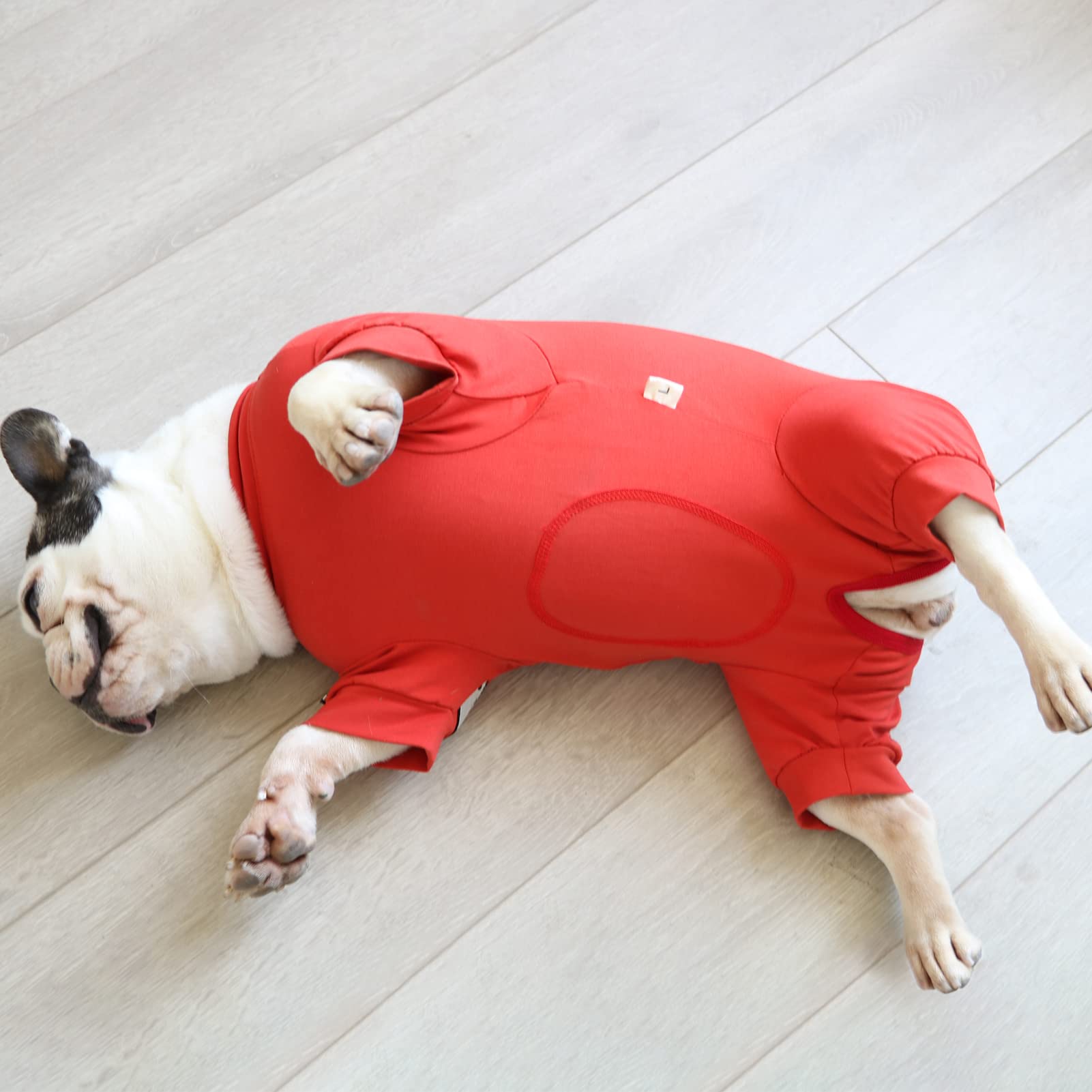 Amazon | KUVEELA Pet 犬 服 犬術後服 術後ウェア フレンチブルドッグ